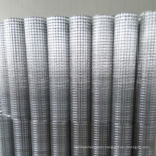 Best price 1x1 galvanized welded wire mesh anping supplier